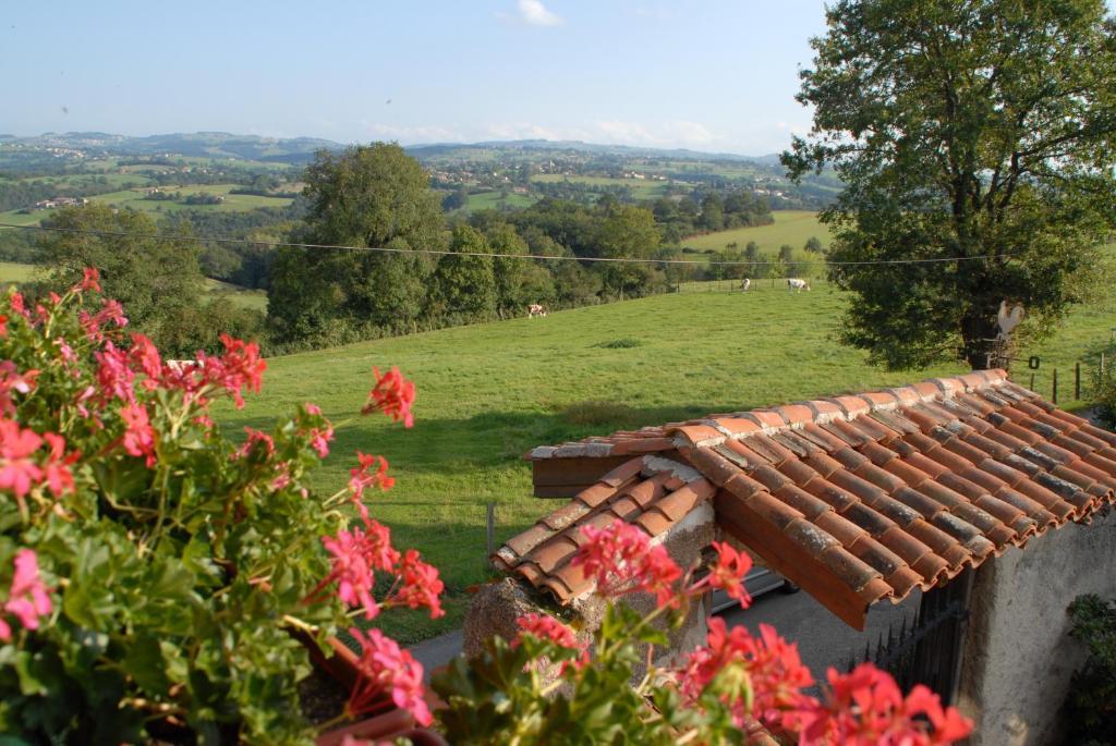 Chez Jacotte Et Elia Bed & Breakfast Saint-Galmier Exterior photo